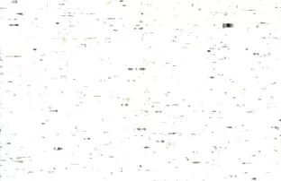 XXX ポルノビデオを見る 動画 女性 av
