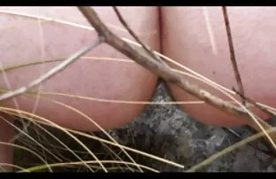 XXX 子供はまた、膣内でインタビューされました 女性 痙攣 動画